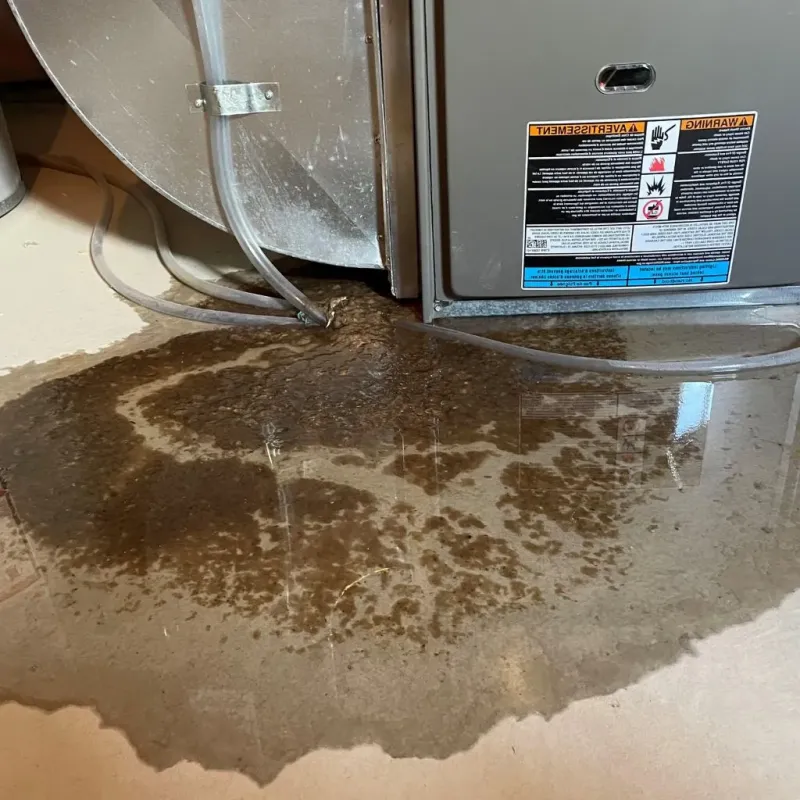 Pipe Burst and Leak Restoration in Cobb County, GA
